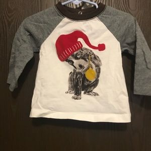 Joe Boxer puppy shirt